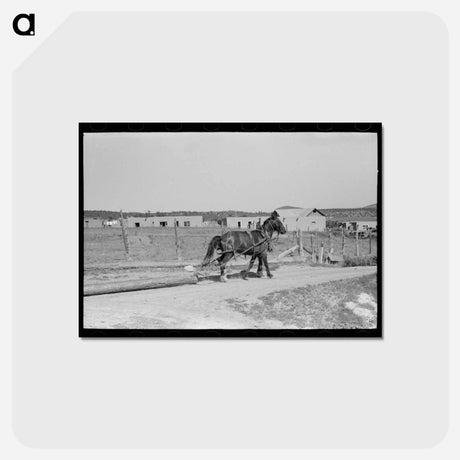 アートポストカード-Chamisal Logging
 - ラッセル リー Postcard.