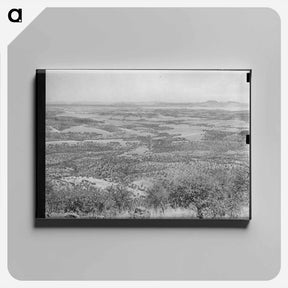 アートパネル-Gristmill Remains on Skyline Drive
 - ラッセル リー Canvas.