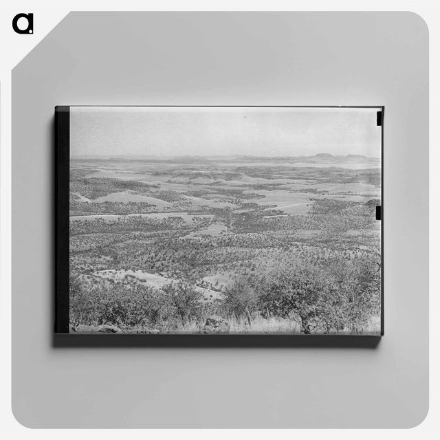 アートパネル-Gristmill Remains on Skyline Drive
 - ラッセル リー Canvas.