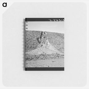 アートメモ帳-Untitled photo - ドロテア ラング Memo.