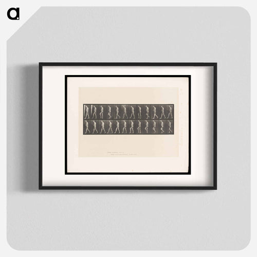 Atrophied Man Walking
 - エドワード マイブリッジ Poster.
