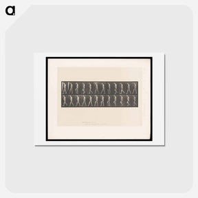 アートポストカード-Atrophied Man Walking
 - エドワード マイブリッジ Postcard.