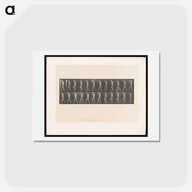 アートポストカード-Atrophied Man Walking
 - エドワード マイブリッジ Postcard.