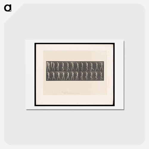 Atrophied Man Walking
 - エドワード マイブリッジ Postcard.