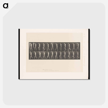 アートポストカード-Atrophied Man Walking
 - エドワード マイブリッジ Postcard.