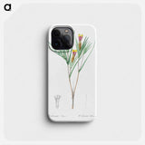 Witsenia Maura illustration from Les liliacées - Pierre Joseph Redouté Phone Case.