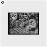 アートポストカード-Guayule Cultivator
 - ラッセル リー Postcard.