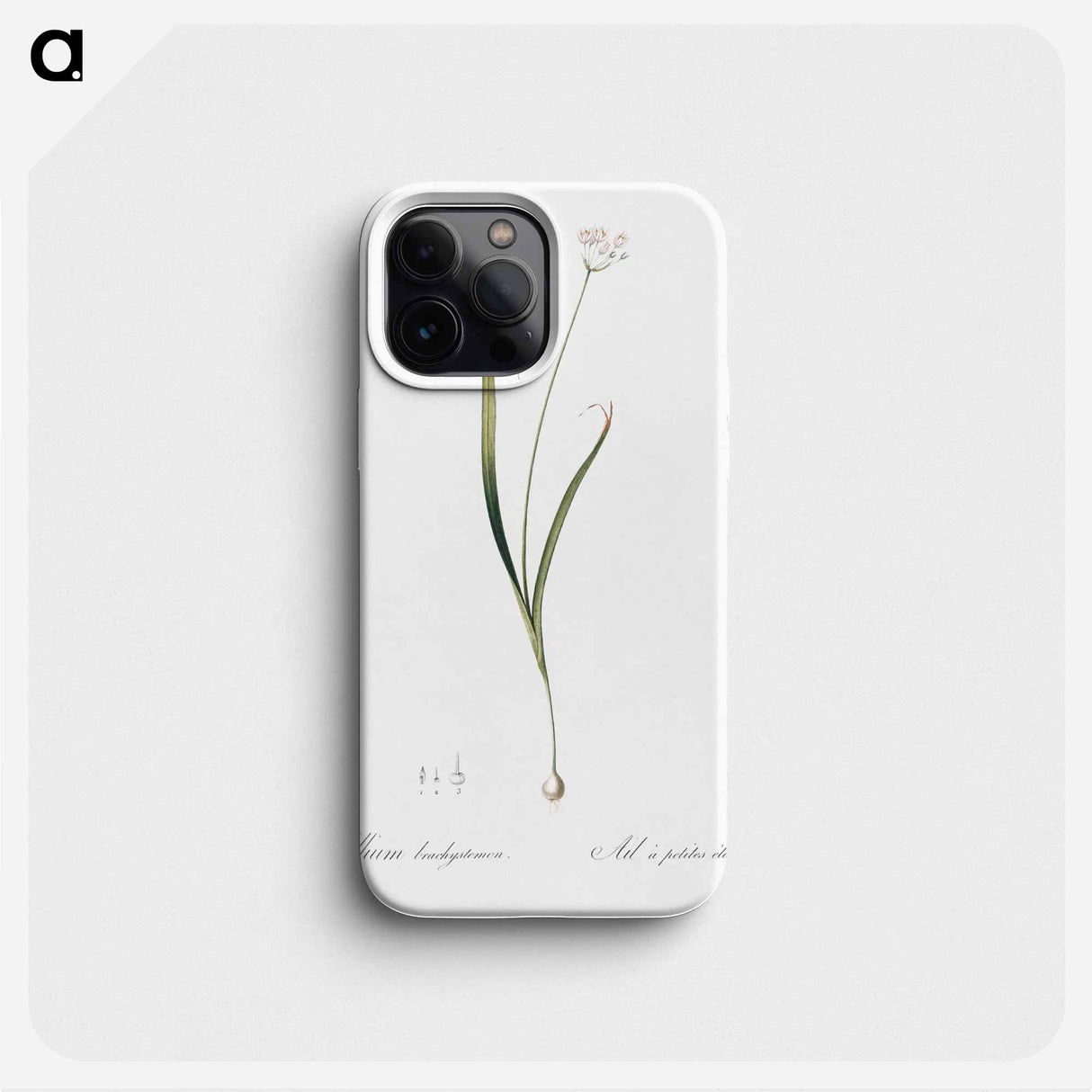 Hairy garlic illustration - ピエール ジョゼフ ルドゥーテ Phone Case.