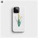 Pale yellow eyed grass illustration - ピエール ジョゼフ ルドゥーテ Phone Case.