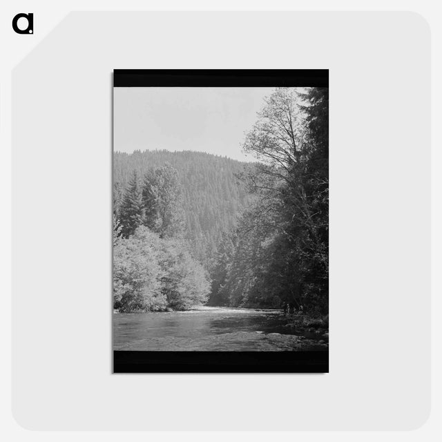 アートポストカード-Belknap Springs, Oregon
 - ラッセル リー Postcard.