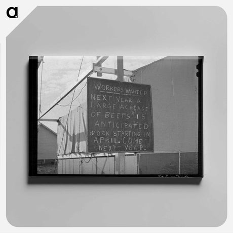 アートパネル-Cactus, Graham County
 - ラッセル リー Canvas.