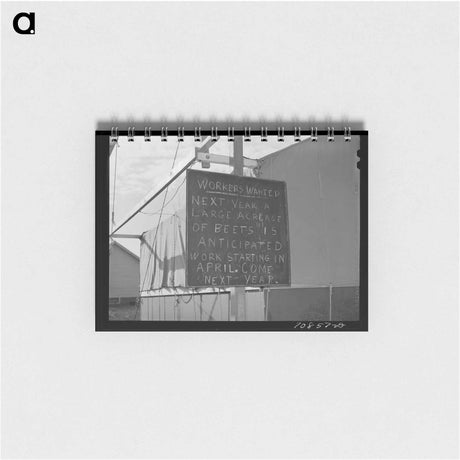 アートメモ帳-Cactus, Graham County
 - ラッセル リー Memo.
