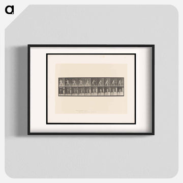 Man Throwing a Ball
 - エドワード マイブリッジ Poster.