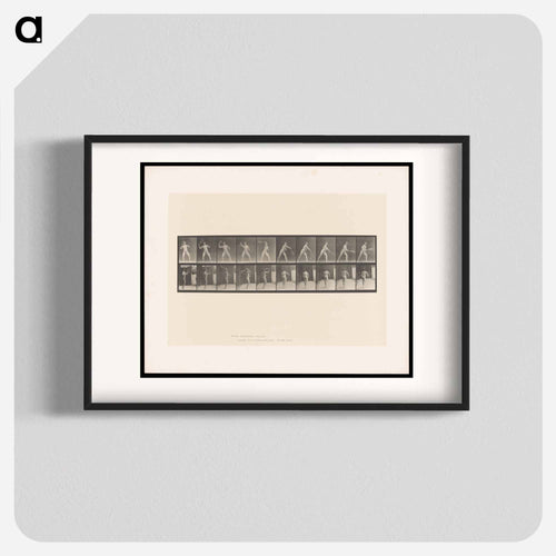 Man Throwing a Ball
 - エドワード マイブリッジ Poster.