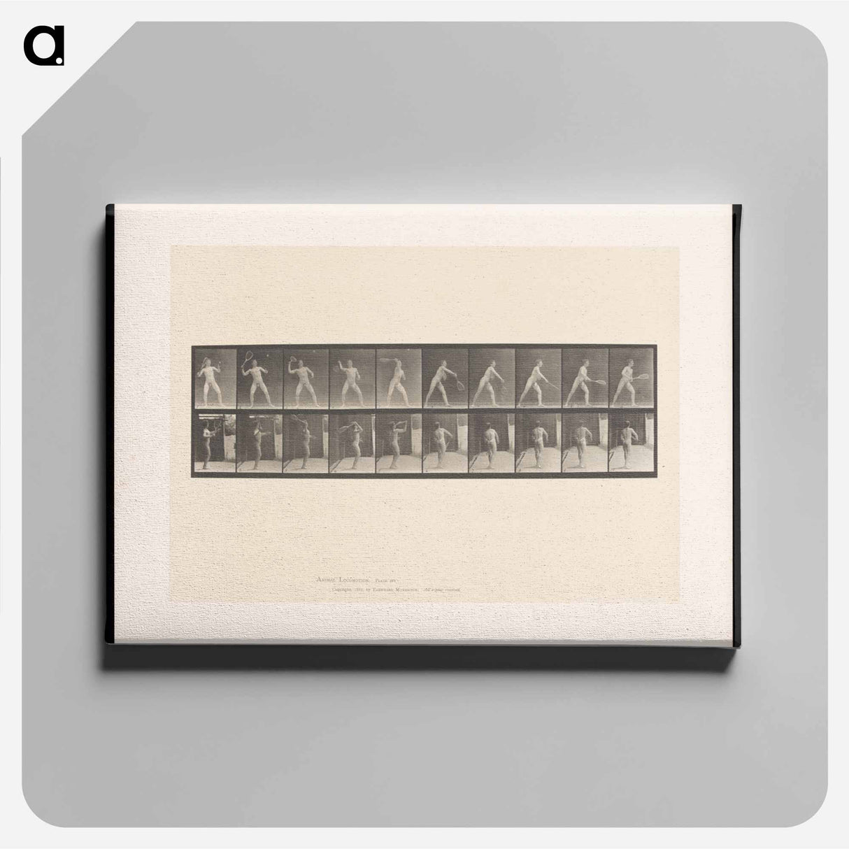 アートパネル-Man Throwing a Ball
 - エドワード マイブリッジ Canvas.