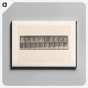 アートパネル-Man Throwing a Ball
 - エドワード マイブリッジ Canvas.