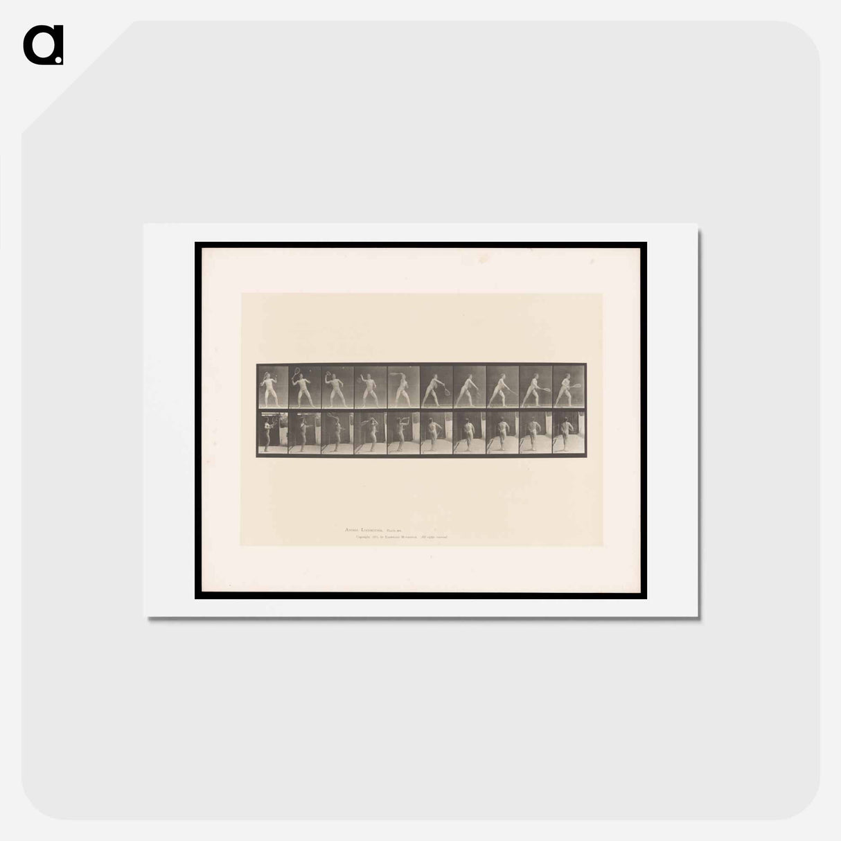 アートポストカード-Man Throwing a Ball
 - エドワード マイブリッジ Postcard.