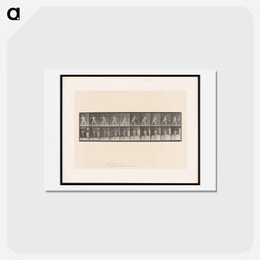アートポストカード-Man Throwing a Ball
 - エドワード マイブリッジ Postcard.
