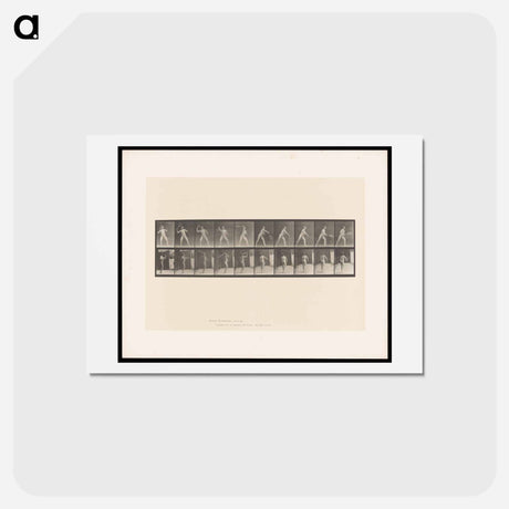 アートポストカード-Man Throwing a Ball
 - エドワード マイブリッジ Postcard.