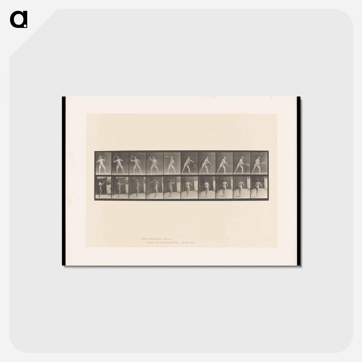 アートポストカード-Man Throwing a Ball
 - エドワード マイブリッジ Postcard.