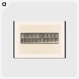 アートポストカード-Man Throwing a Ball
 - エドワード マイブリッジ Postcard.