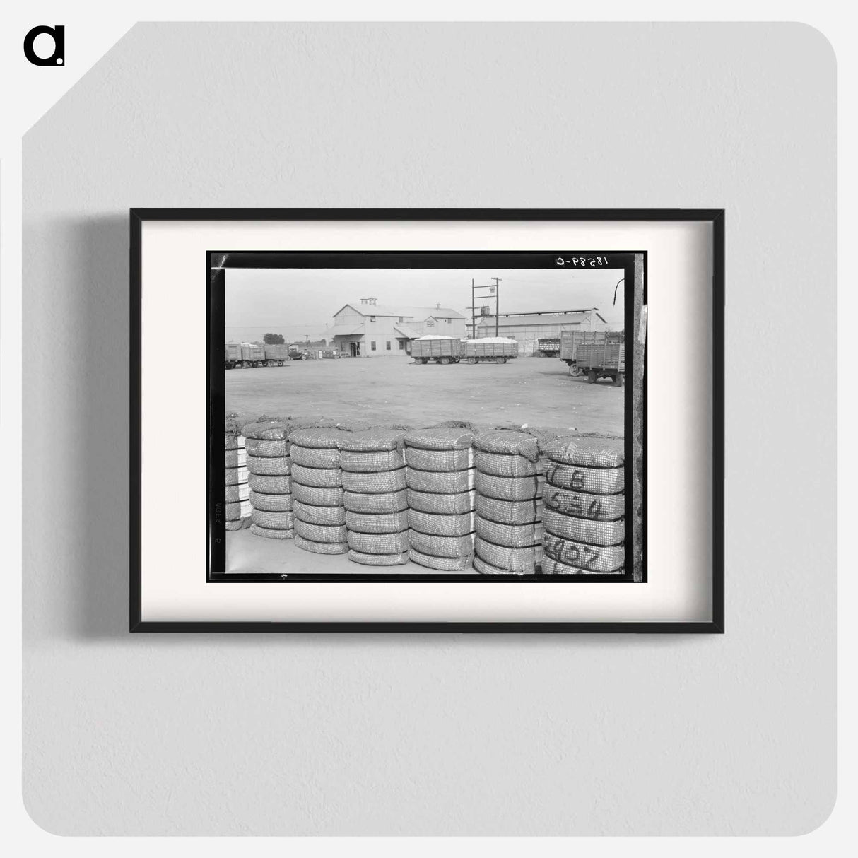 Untitled photo - Dorothea Lange Poster.