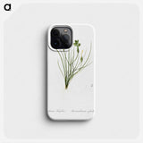 Golden blue-eyed grass illustration - ピエール ジョゼフ ルドゥーテ Phone Case.