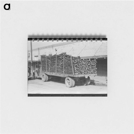 アートメモ帳-Mexican Baby, San Antonio
 - ラッセル リー Memo.