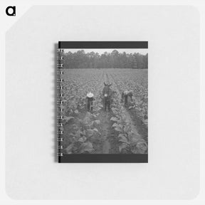 アートメモ帳-Untitled photo - ドロテア ラング Memo.
