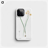 Ixia longiflora illustration - ピエール ジョゼフ ルドゥーテ Phone Case.