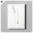 アートパネル-Gladiolus orobanche illustration - ピエール ジョゼフ ルドゥーテ Canvas.