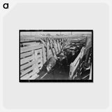アートポストカード-Cattle Corral, Brawley
 - ラッセル リー Postcard.