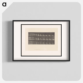 アートポスター-Decomposition
 - エドワード マイブリッジ Poster.