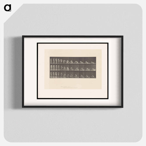 Decomposition
 - エドワード マイブリッジ Poster.