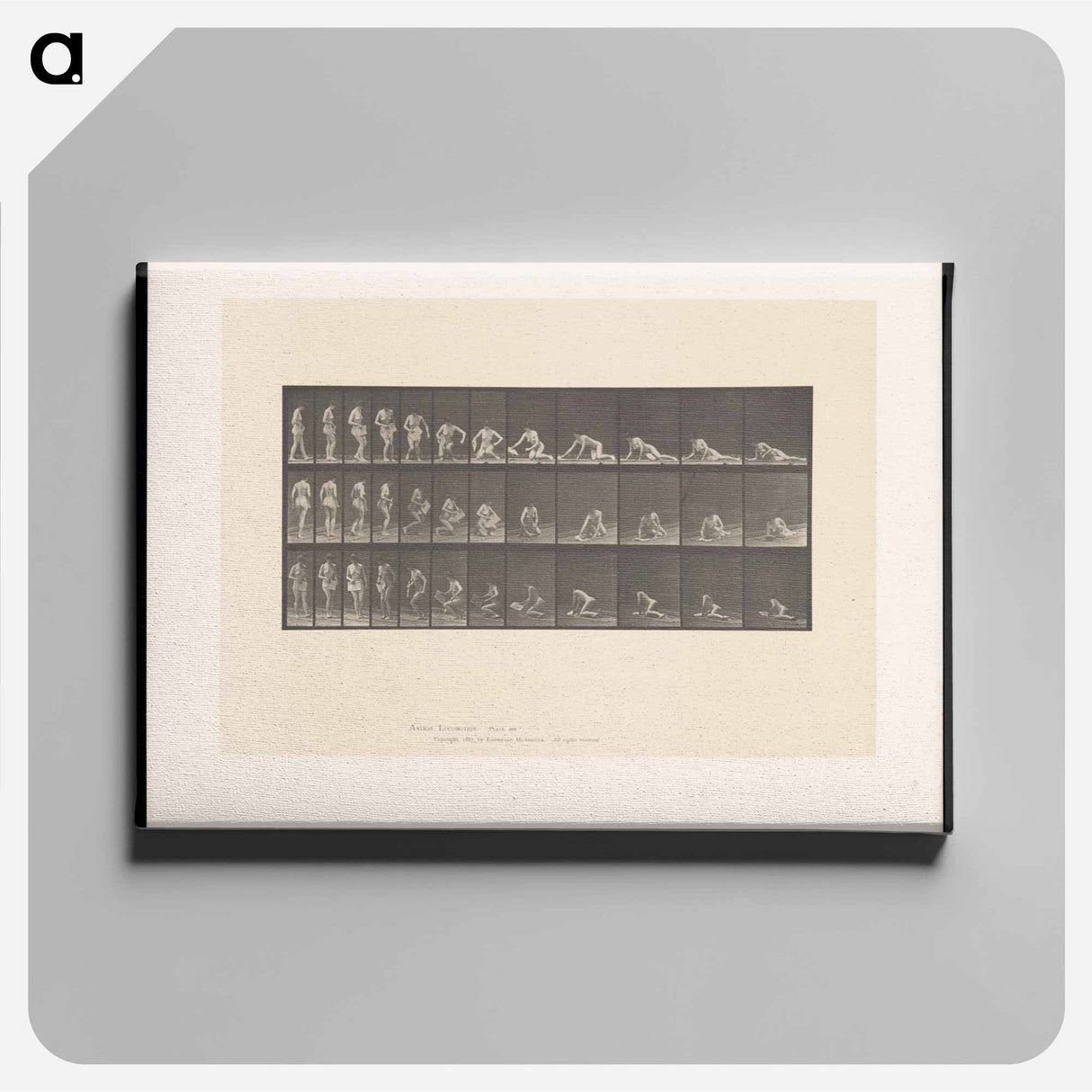 アートパネル-Decomposition
 - エドワード マイブリッジ Canvas.