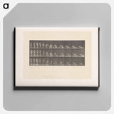 アートパネル-Decomposition
 - エドワード マイブリッジ Canvas.