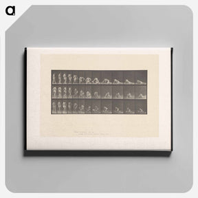 アートパネル-Decomposition
 - エドワード マイブリッジ Canvas.