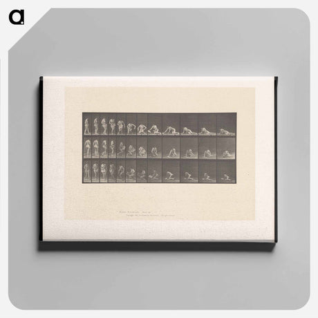 アートパネル-Decomposition
 - エドワード マイブリッジ Canvas.