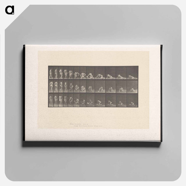 アートパネル-Decomposition
 - エドワード マイブリッジ Canvas.