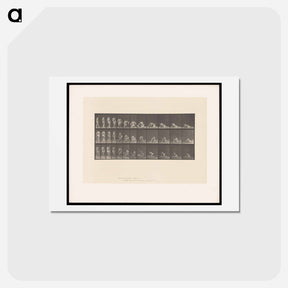 アートポストカード-Decomposition
 - エドワード マイブリッジ Postcard.