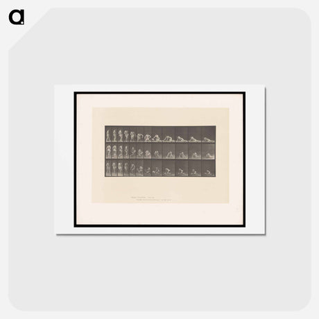 アートポストカード-Decomposition
 - エドワード マイブリッジ Postcard.