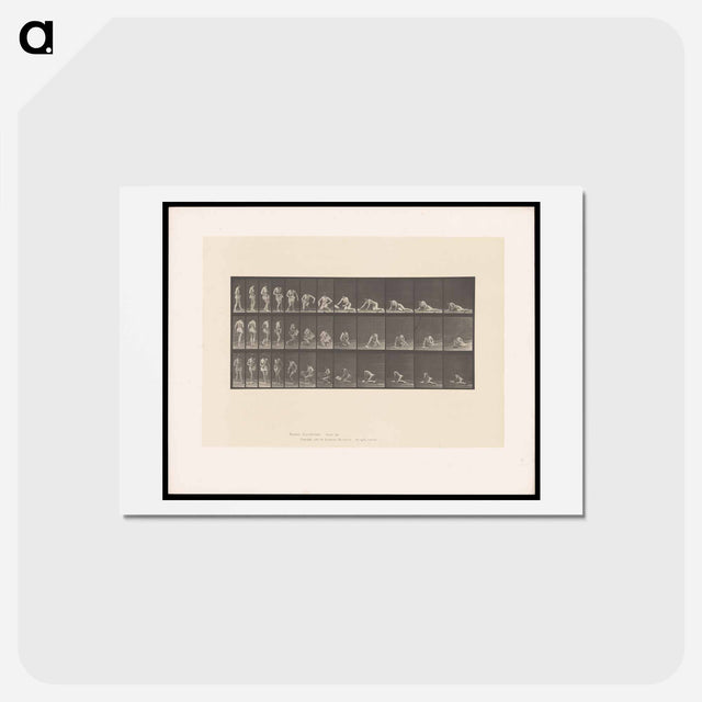 アートポストカード-Decomposition
 - エドワード マイブリッジ Postcard.