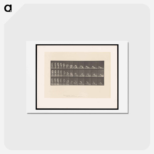 Decomposition
 - エドワード マイブリッジ Postcard.