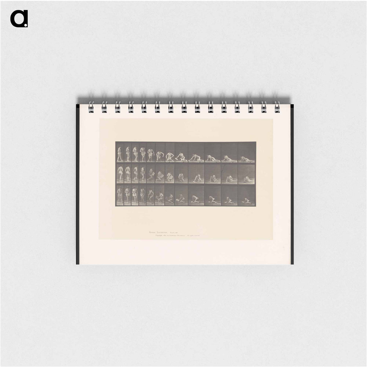 アートメモ帳-Decomposition
 - エドワード マイブリッジ Memo.