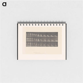 アートメモ帳-Decomposition
 - エドワード マイブリッジ Memo.