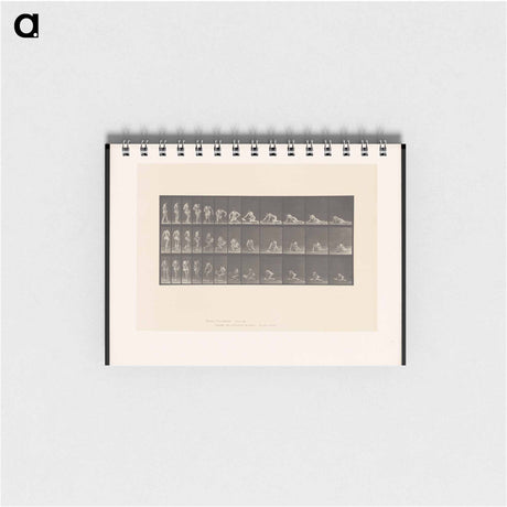 アートメモ帳-Decomposition
 - エドワード マイブリッジ Memo.