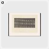 アートポストカード-Decomposition
 - エドワード マイブリッジ Postcard.