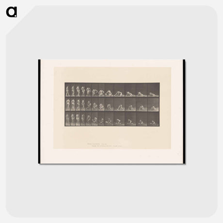 アートポストカード-Decomposition
 - エドワード マイブリッジ Postcard.