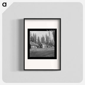 アートポスター-Row of model homes in millworkers town. Gilchrist, Oregon. - ドロテア ラング Poster.