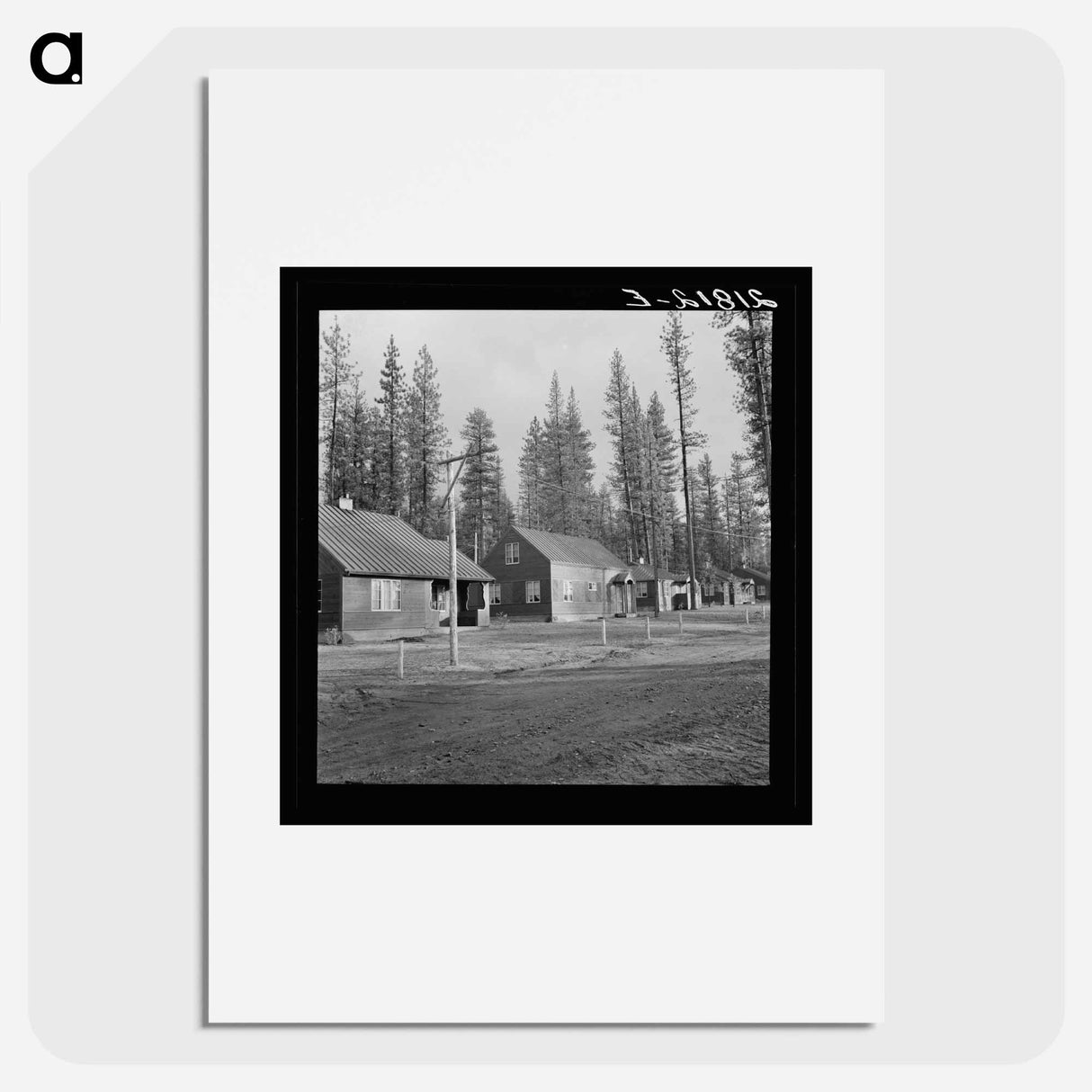 Row of model homes in millworkers town. Gilchrist, Oregon. - ドロテア ラング Poster.